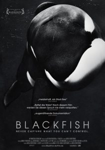 Blackfish (Poster)