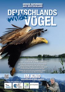 Deutschlands wilde Vögel (Poster)