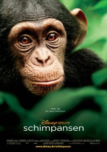 Schimpansen (Poster)
