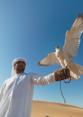 Vereinigte Arabische Emirate (Poster)