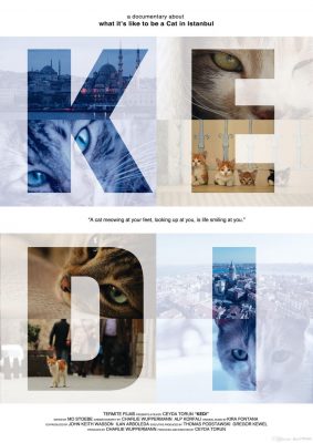 Kedi - Von Katzen und Menschen (Poster)