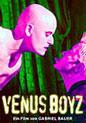 Venus Boyz (Poster)