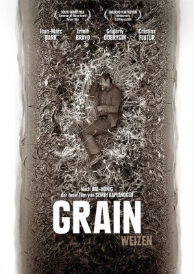 Grain - Weizen (Poster)