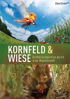 Kornfeld und Wiese - Entdeckungsreise durch eine Wunderwelt (Poster)