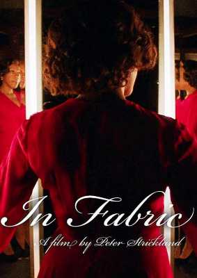 In Fabric (Poster)