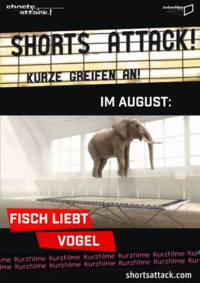 Shorts Attack 2020: Fisch liebt Vogel (Poster)