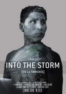 Into the Storm (Poster)