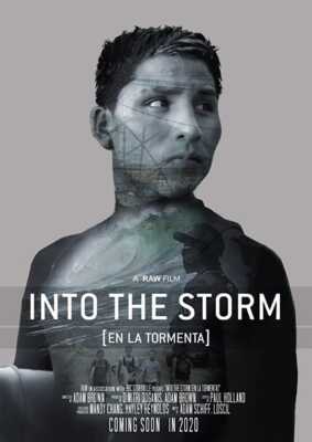 Into the Storm (Poster)