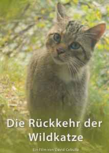 Die Rückkehr der Wildkatze (2020) (Poster)