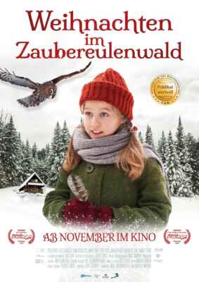 Weihnachten im Zaubereulenwald (Poster)
