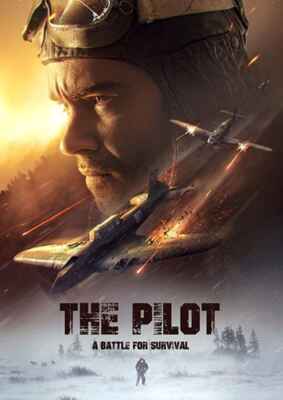 The Pilot - A Battle for Survival (Poster)