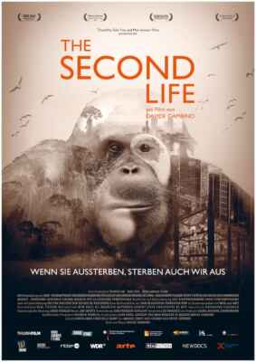 The Second Life - Das zweite Leben (Poster)