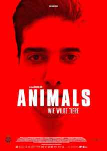 Animals - Wie wilde Tiere (Poster)