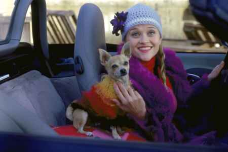 „Natürlich Blond“: Reese Witherspoon sitzt in ihrem Cabrio mit ihrem Chihuahua.