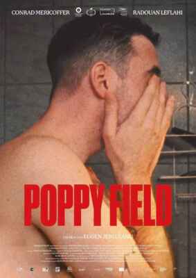 Poppy Field (Poster)