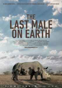 The last Male on Earth (2019) (Poster)