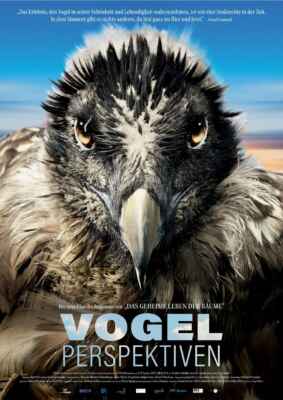 Vogelperspektiven (2022) (Poster)