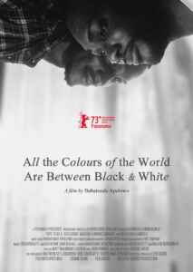 All the Colours of the World Are Between Black and White (2023) (Poster)