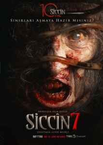 Siccin 7 (Poster)
